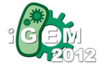 iGEM2012公式サイト iGEM2012公式サイト