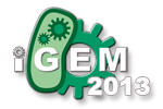 iGEM2013公式サイト iGEM2013公式サイト