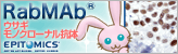 ウサギモノクローナル抗体(RabMAbs(R))