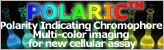 POLARIC POLARIC