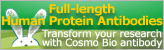 Full-length Human Protein Antibodies Full-length Human Protein Antibodies