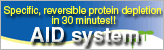 AID system AID system
