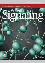 Science Signaling 日本語版ダイジェスト 第11号