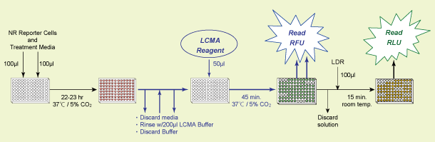 vgR[ - זEʃLbgLive Cell Multiplex (LCM) Assay