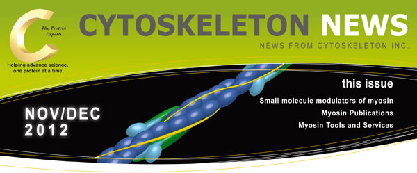 CYTOSKELETON NEWS 2012N11^12 ~IV̏qW[^[