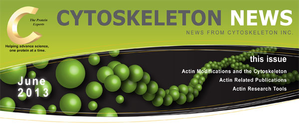 CYTOSKELETON NEWS 2013年6月号 アクチン修飾と細胞骨格