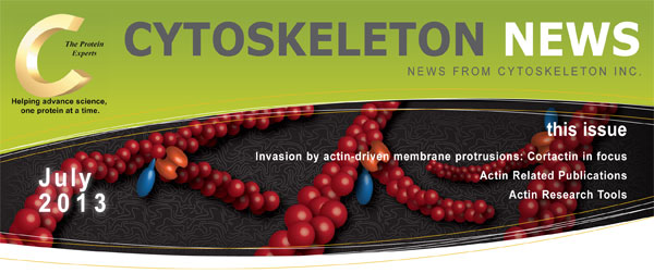 CYTOSKELETON NEWS 2013N7 AN`NˋNɂZFR^N`