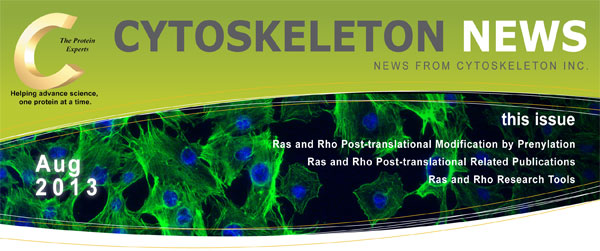 CYTOSKELETON NEWS 2013N8 RasyRhõvjɂ|CFnɂ