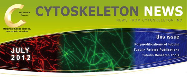 CYTOSKELETON_NEWS_2012N7 `[ȗdCFO^~ƃOV