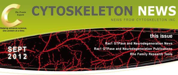 CYTOSKELETON NEWS 2012N9 _oϐɂRac1 GTPase̋@\