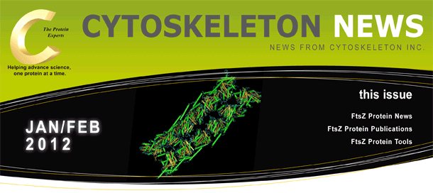 FtsZ: 新たな抗生剤の標的となるチュ−ブリンホモログ CYTOSKELTON NEWS 2012年1月/2月号 FtsZ: 新たな抗生剤の標的となるチュ−ブリンホモログ