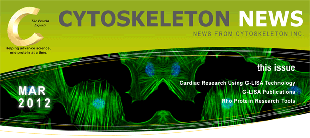 G-LISAを用いた心臓研究: 糖尿病性心筋症におけるRho経路に関する研究 CYTOSKELTON NEWS 2012年3月号 G-LISAを用いた心臓研究: 糖尿病性心筋症におけるRho経路に関する研究