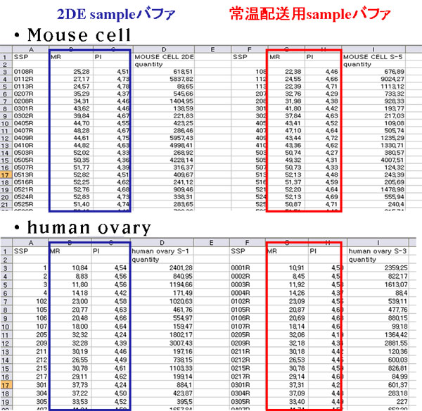 퉷zpobt@[gp̕qʁAd_̈萫eXg