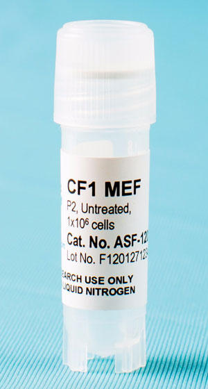 CF-1 MEF Feeder Cells