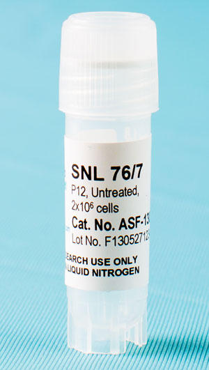 SNL 76/7 (STO Cell Line)