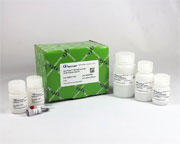 vamPure(TM) Blood Nucleic Acid Extraction Kit
