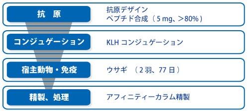 ご提案プラン例