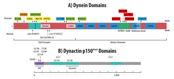 CYTN201401_2.jpg