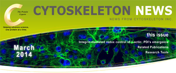 CYTOSKELETON NEWS 2014N3 CeOβ-AN`̎_ҌF PDȈo