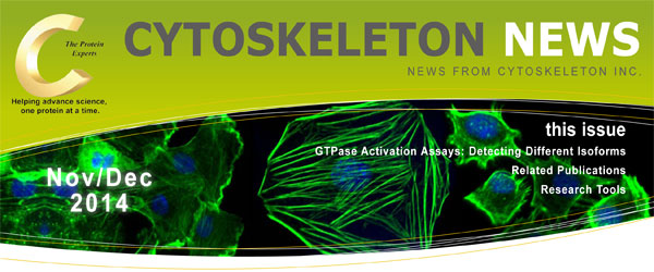 CYTOSKELETON NEWS 2014N11^12 GTPase AbZCF AC\tH[̌o