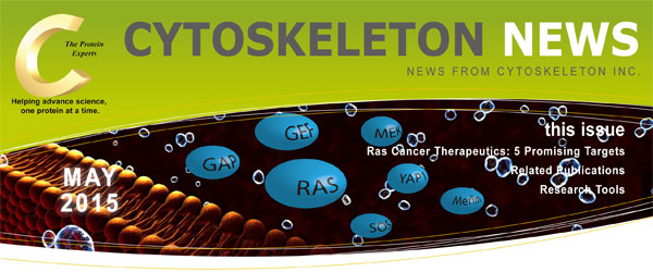 CYTOSKELETON NEWS 2015年5月号 Ras 癌の治療: 5つの有望なターゲット