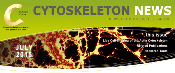 CYTOSKELETON NEWS 2015年7月号 アクチン細胞骨格のライブセルイメージング