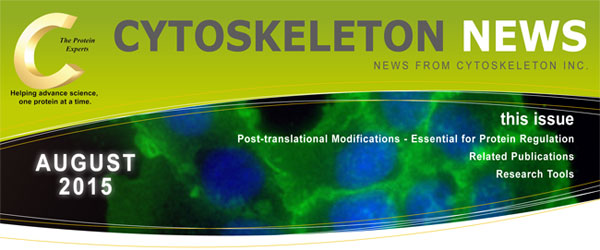 CYTOSKELETON NEWS 2015N8 ^pN߂ɕsȖ|C