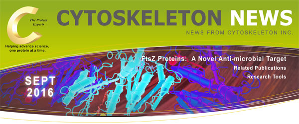 CYTOSKELETON NEWS 2016年9月号 FtsZ タンパク質： 抗菌薬の新規ターゲット