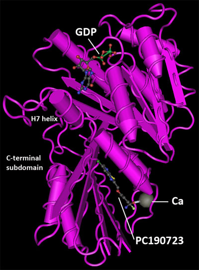 黄色ブドウ球菌（S. aureus）FtsZ/PC190723 複合体の結晶構造