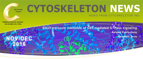 GEF を介した GTPase シグナル伝達の低分子阻害剤 CYTOSKELETON NEWS 2016年11月/12月号 GEF を介した GTPase シグナル伝達の低分子阻害剤