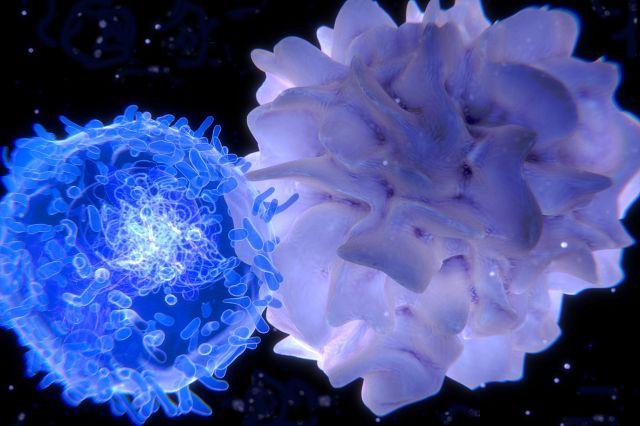 Antigen Specific T Cells image
