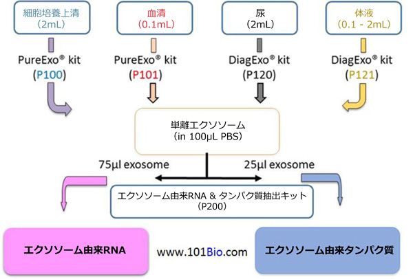 101 Bio社 エクソソーム単離/分離キット