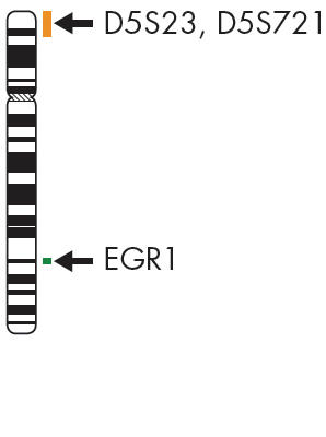 EDR1 Dual Color Probe