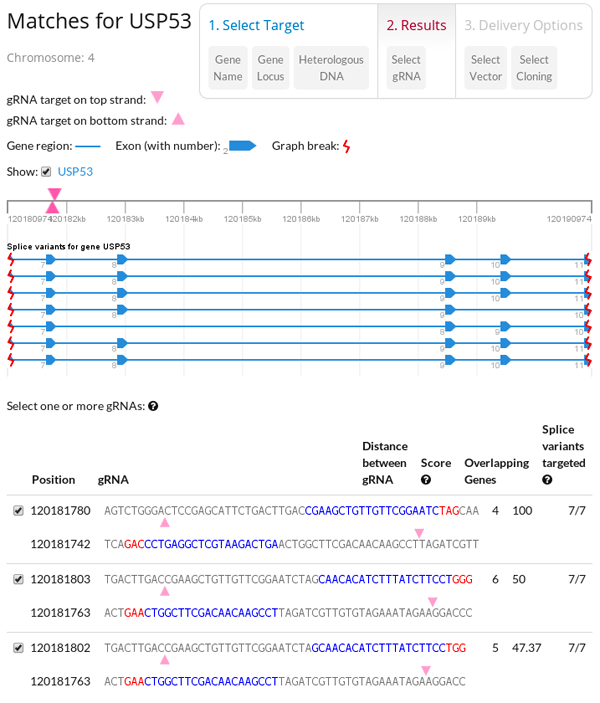 DNA 社 CRISPR gRNA デザインツールのスクリーンショット