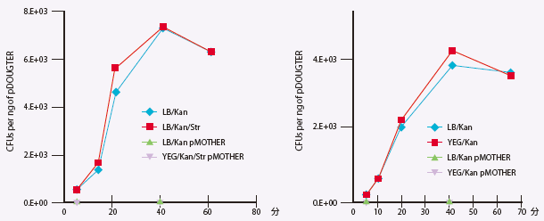 E.coli pDAUGHTERxN^[pElectra system(TM) ̃N[jOoω