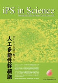iPS in Science �T�C�G���X���ɍڂ����u�l�H���\�����זE�v