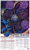 R&D�V�X�e���Y�� Regulation of the Cell Cycle & DNA Damage-Induced Checkpoint Activation�@�|�X�^�[