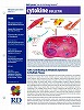R&D�V�X�e���Y�� cytokine BULLETIN 2009/Issue 2