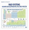 R&D�V�X�e���Y�� Human Developmental Factors �|�X�^�[