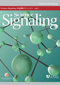 Science Signaling ���{��Ń_�C�W�F�X�g�@��1��