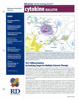 R&D�V�X�e���Y�� cytokine BULLETIN 2010/Issue 1