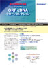 �W�[���R�s�A�Ё@ORF cDNA�N���[���R���N�V��������@���[�t���b�g