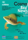 �R�X���o�C�I�j���[�X No.80 March, 2010