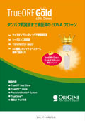 �I���W���Ё@TrueORF Gold cDNA�N���[���������σq�g�^���p�N���@���[�t���b�g