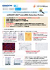 �G�L�V�R���Ё@miRCURY LNA&trade; microRNA Detection Probe �@���炵