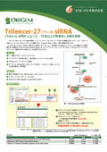 �I���W���Ё@Trilencer-27 siRNA�^HuSH-29 shRNA�v���X�~�h�@���炵