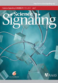 Science Signaling ���{��Ń_�C�W�F�X�g Vol.7