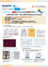 microRNA Detection Probes : miRCURY LNA&trade;�V���[�Y