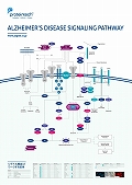veCebNЁ@Alzheimer's disease Signaling Pathway |X^[
