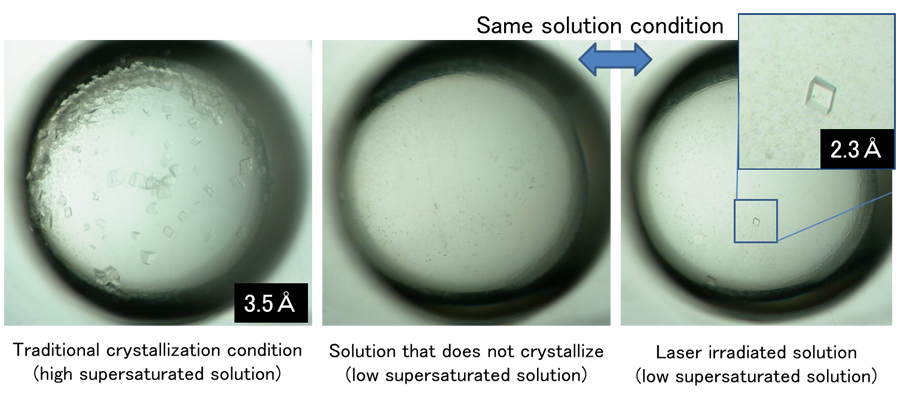 Successful example of membrane protein crystallization